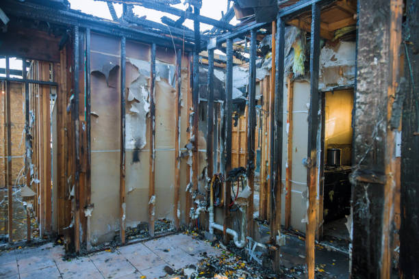 Professional Fire Damage Removal technician working in Crawfordville, FL